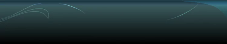 background category section